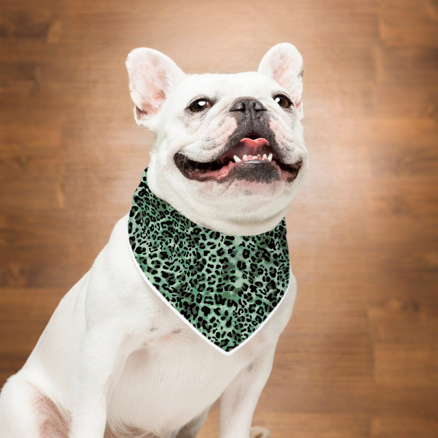 Leopard Print Dog Bandana Accessories Associate Aptlic Assors