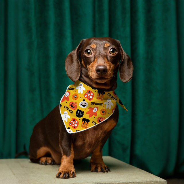 Hallowmas Luxury Dog Bandana Cotton and Polyester Print Pet Bow för Summer Winter Spring Cute Animal Mönster Tillbehör